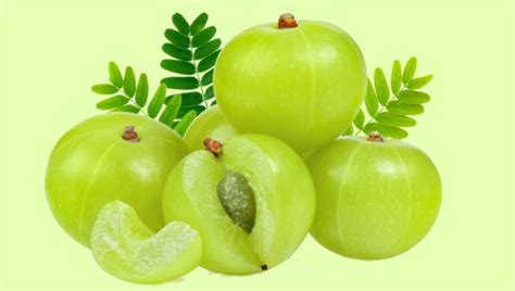 amla philippines|amla means philippines.